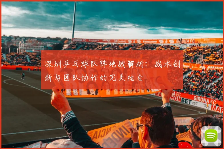 深圳乒乓球队阵地战解析：战术创新与团队协作的完美结合