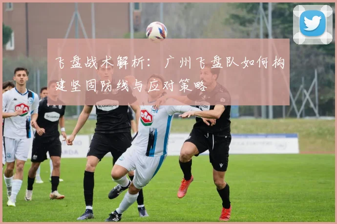飞盘战术解析：广州飞盘队如何构建坚固防线与应对策略
